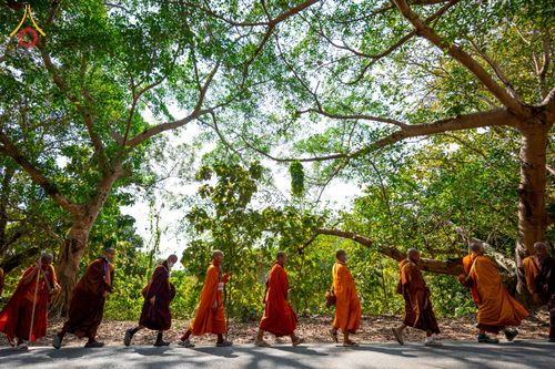 ภาพ No.309843:วันที่ 3-8 กุมภาพันธ์ พ.ศ. 2569 ธรรมยาตราบังกลาเทศ (Rajban Vihar - Khagrachri) ณ ประเทศบังกลาเทศ (Bangladesh)