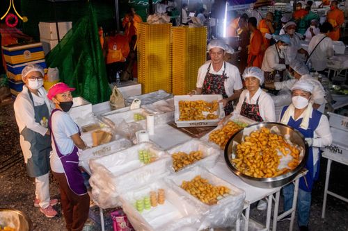 ภาพ No.116234:พิธีถวายภัตตาหารเป็นสังฆทาน แด่คณะพระธรรมยาตรา ปีที่ 12 วันที่ 21 มกราคม พ.ศ. 2567 ณ วัดโบสถ์(บน) บางคูเวียง จ.นนทบุรี