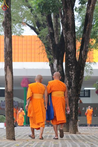 ภาพ No.91448:วันมหาปวารณาออกพรรษา ณ อุโบสถวัดพระธรรมกาย วันอาทิตย์ที่ 29 ตุลาคม พ.ศ.2566 (ขึ้น 15 ค่ำ เดือน 11)