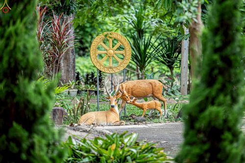 ภาพ No.246677:วันที่ 16-18 กันยายน พ.ศ. 2568 โครงการอบรมอุบาสกแก้วอุบาสิกาแก้ว รุ่นที่ 2 ณ ธุดงคสถานพิษณุโลก