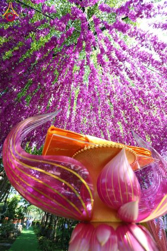 ภาพ No.178921:พิธีทอดกฐิน ณ ศูนย์ธุดงคสถานบ้านหมี่ อ.บ้านหมี่ จ.ลพบุรี ในโครงการกฐินสามัคคีทั่วไทย 30,000 วัด บูชาธรรม 80 ปี หลวงพ่อธัมมชโย โดยคณะศิษยานุศิษย์วัดพระธรรมกาย วันที่ 10 พฤศจิกายน พ.ศ. 2567