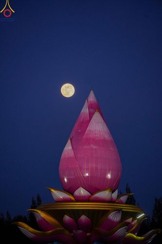 ภาพ No.175899:พิธีจุดประทีปโคมลาน, โคมลอยและลอยกระทง ถวายประทีปเป็นพุทธบูชา สร้างความสว่างไสวให้กับแผ่นดินด้วยแสงธรรม วันที่ 15 พฤศจิกายน พ.ศ. 2567 ณ พุทธอุทยานนานาชาติ อ.โพนพิสัย จ.หนองคาย