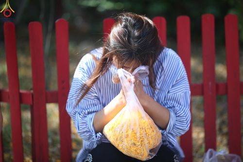 ภาพ No.195422:พิธีต้อนรับพระธรรมยาตรา ณ อนุสรณ์สถานลำดับที่ 4 สถานที่เกิดด้วยกายธรรม วัดโบสถ์(บน) ต.บางคูเวียง จ.นนทบุรี ในโครงการธรรมยาตรา กตัญญูบูชา มหาปูชนียาจารย์ พระมงคลเทพมุนี(สด จนฺทสโร) พระผู้ปราบมาร อนุสรณ์สถาน 7 แห่ง ปีที่ 13 วันที่ 15 มกราคม พ.ศ. 2568