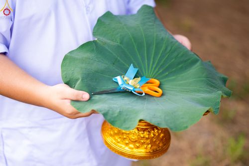 ภาพ No.82539:พิธีตัดปอยผมและปลงผมนาคธรรมทายาท ในโครงการอุปสมบทหมู่ธรรมทายาทพุทธศาสตร์สากล รุ่นที่ 7 (ภาคฤดูฝน) วันอาทิตย์ที่ 11 มิถุนายน พ.ศ. 2566 ณ  วัดพระธรรมกาย