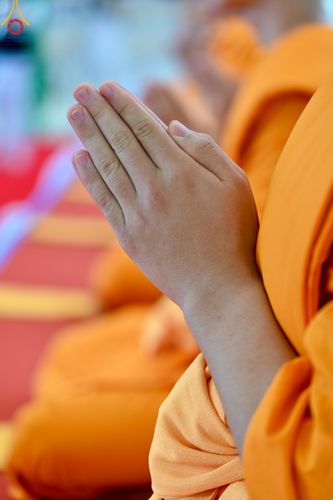 ภาพ No.137749:พิธีอุปสมบทสามเณรอุทิศชีวิต 11 รูป วันวิสาขบูชา พุธที่ 22 พฤษภาคม พ.ศ.2567 ณ อุโบสถ วัดพระธรรมกาย