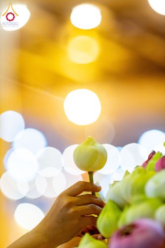 ภาพ No.286783:วันอาสาฬหบูชา วันพฤหัสบดีที่ 10 กรกฏาคม พ.ศ.2568  พิธีเวียนประทักษิณรอบพระมหาธรรมกายเจดีย์ , พิธีฉลองชัยสวดมนต์บทธัมมจักกัปปวัตตนสูตร ครบ 7,520,000,000 จบ ณ มหารัตนวิหารคด วัดพระธรรมกาย