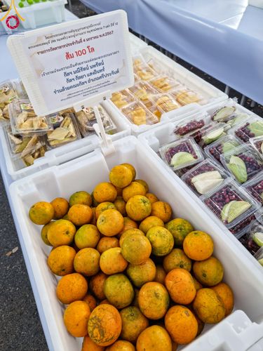 ภาพ No.106066:พิธีถวายภัตตาหารเป็นสังฆทาน แด่คณะพระธรรมยาตราฯ ในโครงการธรรมยาตรากตัญญูบูชา มหาปูชนียาจารย์ พระมงคลเทพมุนี(สด จนฺทสโร) พระผู้ปราบมาร อนุสรณ์สถาน 7 แห่ง ปีที่ 12 วันที่ 3 มกราคม พ.ศ. 2567 ณ อนุสรณ์สถานโลตัสแลนด์ จ.สุพรรณบุรี