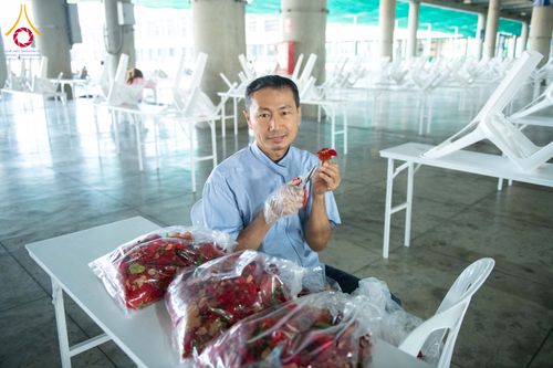 ภาพ No.279470:วันที่ 19-26 ธันวาคม พ.ศ. 2568 และ วันที่ 1 มกราคม พ.ศ.2569 รับบุญปลิดกลีบดอกไม้ เพื่อโปรยต้อนรับพระธรรมยาตรา