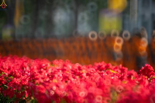 ภาพ No.287051:วันที่ 2 มกราคม พ.ศ.2569 พิธีต้อนรับพระธรรมยาตรา ครั้งที่ 1 (ภาพชุดที่ 2) ณ วัดพระธรรมกาย (วิหารหลวงปู่ - พระมหาธรรมกายเจดีย์)