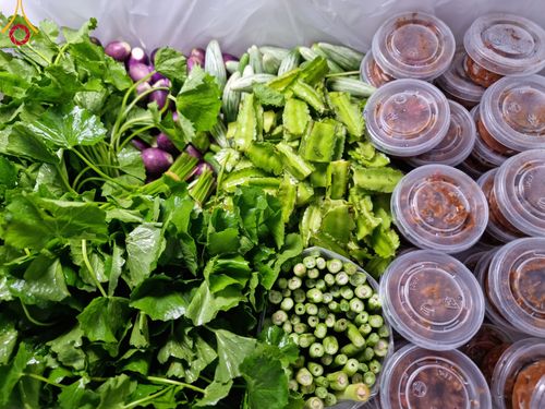 ภาพ No.113692:พิธีถวายภัตตาหารเป็นสังฆทาน แด่คณะพระธรรมยาตรา ปีที่ 12 วันที่ 17 มกราคม พ.ศ. 2567 ณ วัดโบสถ์(บน) บางคูเวียง จ.นนทบุรี