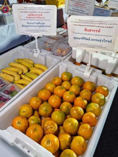 ภาพ No.111913:พิธีถวายภัตตาหารเป็นสังฆทาน แด่คณะพระธรรมยาตราฯ ในโครงการธรรมยาตรา กตัญญูบูชา มหาปูชนียาจารย์ พระมงคลเทพมุนี(สด จนฺทสโร) พระผู้ปราบมาร อนุสรณ์สถาน 7 แห่ง ปีที่ 12 วันที่ 14 มกราคม พ.ศ. 2567 ณ อนุสรณ์สถานมหาวิหารพระมงคลเทพมุนี  (โลตัสแลนด์) อ.สองพี่น้อง จ