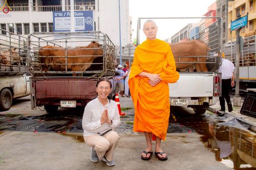 ภาพ No.238233:วันเสาร์ที่ 9 สิงหาคม พ.ศ. 2568 พิธีไถ่ชีวิตโค-โคท้อง 162 ตัว ณ ใจกลางนครหาดใหญ่ จ.สงขลา