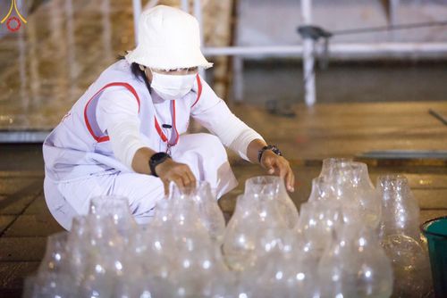 ภาพ No.119451:V.18 ทันทีม การเตรียมงาน เก็บงาน การรับบุญของเจ้าหน้าที่หน่วยงานต่างๆ เพื่อโครงการธรรมยาตรา กตัญญูบูชามหาปูชนียาจารย์ พระมงคลเทพมุนี (สด จนฺทสโร) พระผู้ปราบมาร อนุสรณ์สถาน 7 แห่ง ปีที่ 12 ระหว่างวันที่ 2 - 31 มกราคม พ.ศ.2567