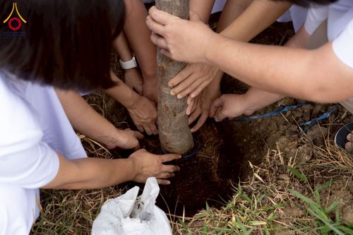 ภาพ No.238602:วันอาทิตย์ที่ 17 สิงหาคม พ.ศ. 2568 พิธีทอดผ้าป่าบำรุงศูนย์อบรมเยาวชนนครปฐม ครบรอบ 14 ปี และพิธีปลูกต้นไม้รอบสระเศรษฐี ณ ศูนย์อบรมเยาวชนนครปฐม