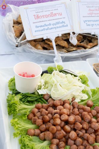 ภาพ No.190529:สาธุชนถวายภัตตาหารเป็นสังฆทาน แด่พระธรรมยาตรา ณ อนุสรณ์สถานมหาวิหารพระมงคลเทพมุนี (โลตัสแลนด์) อ.สองพี่น้อง จ.สุพรรณบุรี ในโครงการธรรมยาตรา กตัญญูบูชา มหาปูชนียาจารย์ พระมงคลเทพมุนี(สด จนฺทสโร) พระผู้ปราบมาร แห่ง ปีที่ 13 วันที่ 7 มกราคม พ.ศ.2568