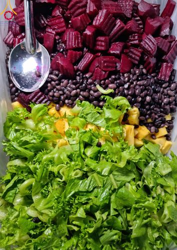 ภาพ No.111892:พิธีถวายภัตตาหารเป็นสังฆทาน แด่คณะพระธรรมยาตราฯ ในโครงการธรรมยาตรา กตัญญูบูชา มหาปูชนียาจารย์ พระมงคลเทพมุนี(สด จนฺทสโร) พระผู้ปราบมาร อนุสรณ์สถาน 7 แห่ง ปีที่ 12 วันที่ 14 มกราคม พ.ศ. 2567 ณ อนุสรณ์สถานมหาวิหารพระมงคลเทพมุนี  (โลตัสแลนด์) อ.สองพี่น้อง จ