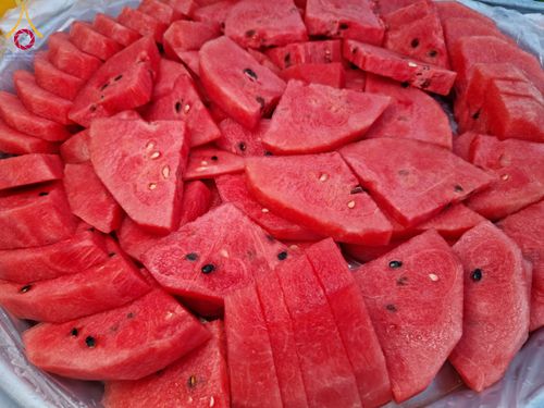 ภาพ No.119110:พิธีถวายภัตตาหารเป็นสังฆทาน แด่คณะพระธรรมยาตรา วันที่ 27 มกราคม พ.ศ. 2567 ณ อนุสรณ์สถานบางปลา จ.นครปฐม