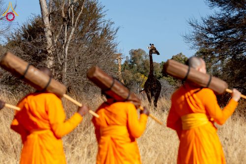 ภาพ No.232883:วันที่ 1 กรกฏาคม พ.ศ. 2568 Dhammayatra in South Africa 2025 ธรรมยาตราแอฟริกาใต้ — เส้นทางแห่งสติ สมาธิ และปัญญา ธรรมทายาทที่ได้อบรมโครงการบรรพชาอุปสมบทหมู่ครั้งที่ 2 ณ วัดพระธรรมกายโจฮันเนสเบิร์ก ประเทศแอฟริกาใต้