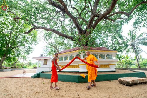 ภาพ No.140124:PhotoStory มหาศรัทธา ธรรมยาตราศรีลังกา EP.3  โครงการสยาม-ลังกา ธรรมยาตรา ฉลองเทศกาลวิสาขบูชาแห่งชาติ ศรีลังกา  บูชาธรรม 80 ปีหลวงพ่อธัมมชโย เส้นทางจาก เมืองดัมบูลลา ไปยัง เมืองมาตะเล  ตั้งแต่วันที่ 17-20 พฤษภาคม พ.ศ. 2567