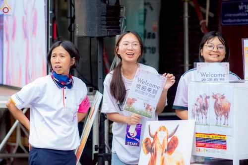 ภาพ No.238154:วันเสาร์ที่ 9 สิงหาคม พ.ศ. 2568 พิธีไถ่ชีวิตโค-โคท้อง 162 ตัว ณ ใจกลางนครหาดใหญ่ จ.สงขลา