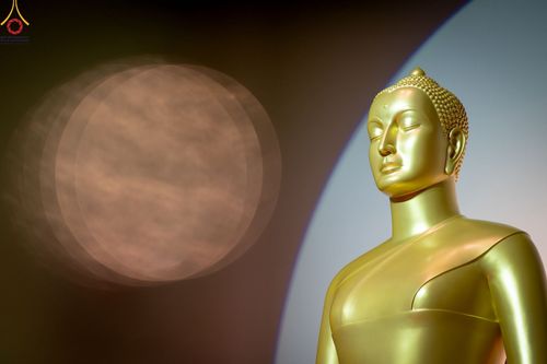 ภาพ No.82827:พิธีอุปสมบทหมู่ ในโครงการพระพี่เลี้ยงเข้าพรรษา, ธรรมทายาทอุดมศึกษารุ่นที่ 50 (ภาคฤดูฝน) และธรรมทายาทพุทธศาสตร์สากล รุ่นที่ 7 (ภาคฤดูฝน) วันอาทิตย์ที่ 18 มิถุนายน พ.ศ. 2566 ณ วัดพระธรรมกาย จ.ปทุมธานี