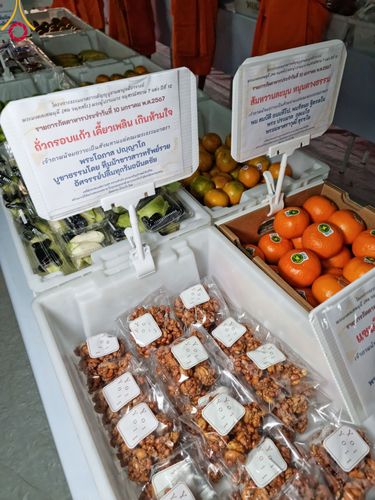 ภาพ No.109210:พิธีถวายภัตตาหารเป็นสังฆทาน แด่คณะพระธรรมยาตราฯ วันที่ 10 มกราคม พ.ศ. 2567 ณ อนุสรณ์สถานคลองบางนางแท่น อ.สามพราน จ.นครปฐม