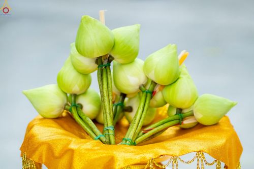 ภาพ No.228890:วันเสาร์ที่ 14 มิถุนายน พ.ศ. 2568 พิธีเวียนประทักษิณ , พิธีขอขมารับผ้าไตร ในโครงการบรรพชาอุปสมบทหมู่ ผู้บริหารรุ่นที่ 15 และ อุดมศึกษา รุ่นที่ 52 ณ โบสถ์พระไตรปิฎก วัดพระธรรมกาย