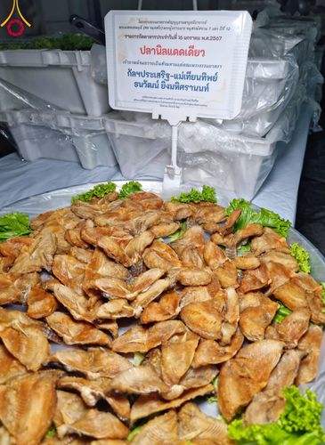 ภาพ No.113008:พิธีถวายภัตตาหารเป็นสังฆทาน แด่คณะพระธรรมยาตรา ปีที่ 12 วันที่ 16 มกราคม พ.ศ. 2567 ณ วัดโบสถ์(บน) บางคูเวียง จ.นนทบุรี