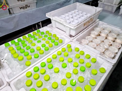 ภาพ No.115089:พิธีถวายภัตตาหารเป็นสังฆทาน แด่คณะพระธรรมยาตรา ปีที่ 12 วันที่ 19 มกราคม พ.ศ. 2567 ณ วัดโบสถ์(บน) บางคูเวียง จ.นนทบุรี