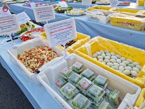 ภาพ No.108484:ถวายภัตตาหารเป็นสังฆทาน แด่คณะพระธรรมยาตราฯ ในโครงการธรรมยาตรากตัญญูบูชา มหาปูชนียาจารย์ พระมงคลเทพมุนี(สด จนฺทสโร) พระผู้ปราบมาร อนุสรณ์สถาน 7 แห่ง ปีที่ 12 วันที่ 7 มกราคม พ.ศ. 2567 ณ อนุสรณ์สถานโลตัสแลนด์ จ.สุพรรณบุรี