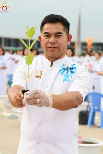ภาพ No.160453:พิธีปลูกต้นทรัพย์บานชื่น ณ ลานธรรม พระมหาธรรมกายเจดีย์ วัดพระธรรมกาย จ.ปทุมธานี วันพฤหัสบดีที่ 10 ตุลาคม พ.ศ. 2567