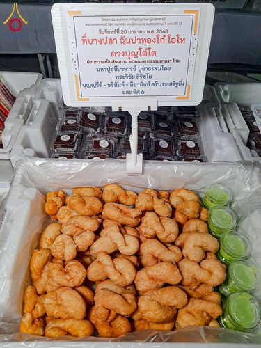 ภาพ No.198356:พิธีถวายภัตตาหารเป็นสังฆทาน แด่พระธรรมยาตรา ณ อนุสรณ์สถานบางปลา วัดบางปลา อำเภอบางเลน จังหวัดนครปฐม ในโครงการธรรมยาตรา กตัญญูบูชา มหาปูชนียาจารย์ พระมงคลเทพมุนี(สด จนฺทสโร) พระผู้ปราบมาร อนุสรณ์สถาน 7 แห่ง ปีที่ 13 วันที่ 20 มกราคม พ.ศ. 2568