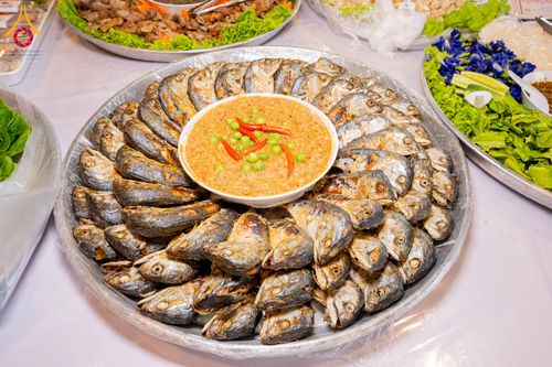 ภาพ No.306391:วันที่ 30 มกราคม พ.ศ. 2569 พิธีถวายภัตตาหารเป็นสังฆทาน แด่พระธรรมยาตรา ณ วัดพระธรรมกาย  จังหวัดปทุมธานี ในโครงการธรรมยาตรา กตัญญูบูชา มหาปูชนียาจารย์ พระมงคลเทพมุนี(สด จนฺทสโร) พระผู้ปราบมาร อนุสรณ์สถาน 7 แห่ง ปีที่ 14