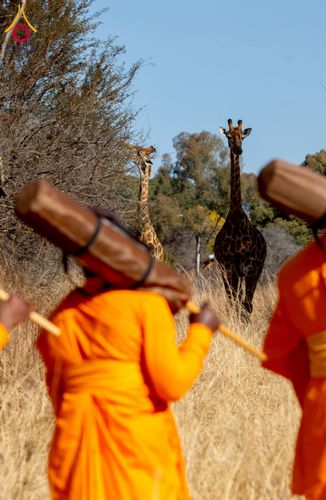 ภาพ No.232880:วันที่ 1 กรกฏาคม พ.ศ. 2568 Dhammayatra in South Africa 2025 ธรรมยาตราแอฟริกาใต้ — เส้นทางแห่งสติ สมาธิ และปัญญา ธรรมทายาทที่ได้อบรมโครงการบรรพชาอุปสมบทหมู่ครั้งที่ 2 ณ วัดพระธรรมกายโจฮันเนสเบิร์ก ประเทศแอฟริกาใต้