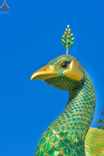 ภาพ No.42734:พิธีอัญเชิญมยุรนาวากาศ ประดิษฐาน ณ อาคาร 100 ปี เนื่องในวันคล้ายวันเกิด ครบ 113 ปี คุณยายอาจารย์มหารัตนอุบาสิกาจันทร์ ขนนกยูง