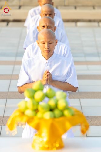 ภาพ No.320868:วันเสาร์ที่ 11 เมษายน พ.ศ.2569 พิธีเวียนประทักษิณ พิธีวันทาเจดีย์ โครงการอุปสมบทหมู่ บูชาธรรมหลวงพ่อธัมมชโย พ.ศ.2569 โครงการอุปสมบทหมู่ธรรมทายาท ระดับอุดมศึกษา รุ่น 53 (ภาคฤดูร้อน) ณ วัดพระธรรมกาย ปทุมธานี