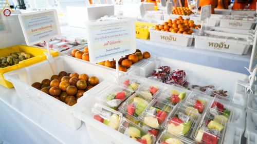 ภาพ No.74444:พิธีถวายภัตตาหารเป็นสังฆทาน แด่คณะพระธรรมยาตราฯ ในโครงการธรรมยาตรากตัญญูบูชา มหาปูชนียาจารย์ พระมงคลเทพมุนี(สด จนฺทสโร) พระผู้ปราบมาร อนุสรณ์สถาน 7 แห่ง ปีที่ 11 วันที่ 26 มกราคม พ.ศ. 2566