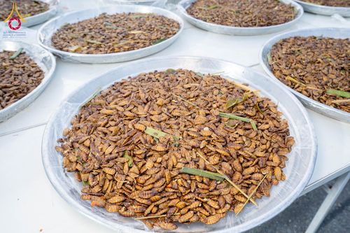 ภาพ No.292668:วันที่ 12 มกราคม พ.ศ. 2569 พิธีถวายภัตตาหารเป็นสังฆทาน แด่พระธรรมยาตรา ณ อนุสรณ์สถานมหาวิหารพระมงคลเทพมุนี (โลตัสแลนด์) อ.สองพี่น้อง จ.สุพรรณบุรี ในโครงการธรรมยาตรา กตัญญูบูชา มหาปูชนียาจารย์ พระมงคลเทพมุนี(สด จนฺทสโร) พระผู้ปราบมาร อนุสรณ์สถาน 7 แห่ง ปี