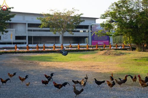 ภาพ No.41757:ประมวลภาพธรรมยาตรา ปีที่ 10  ประจำวันที่ 8 มกราคม พ.ศ. 2565