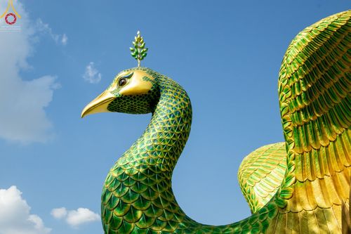 ภาพ No.42736:พิธีอัญเชิญมยุรนาวากาศ ประดิษฐาน ณ อาคาร 100 ปี เนื่องในวันคล้ายวันเกิด ครบ 113 ปี คุณยายอาจารย์มหารัตนอุบาสิกาจันทร์ ขนนกยูง