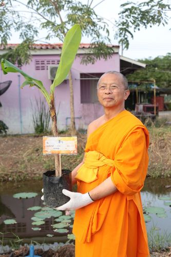 ภาพ No.48815:ประมวลภาพการสร้างบารมีของ พระเดชพระคุณพระสุธรรมญาณวิเทศ (สุธรรม สุธมฺโม)