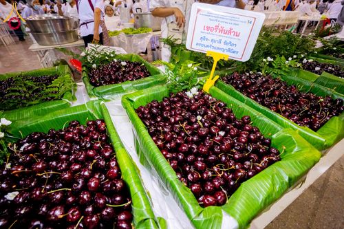 ภาพ No.306989:วันที่ 31 มกราคม พ.ศ. 2569 พิธีถวายภัตตาหารเป็นสังฆทาน แด่พระธรรมยาตรา ณ วัดพระธรรมกาย  จังหวัดปทุมธานี ในโครงการธรรมยาตรา กตัญญูบูชา มหาปูชนียาจารย์ พระมงคลเทพมุนี(สด จนฺทสโร) พระผู้ปราบมาร อนุสรณ์สถาน 7 แห่ง ปีที่ 14