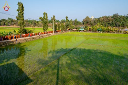 ภาพ No.310030:วันที่ 3-8 กุมภาพันธ์ พ.ศ. 2569 ธรรมยาตราบังกลาเทศ (Rajban Vihar - Khagrachri) ณ ประเทศบังกลาเทศ (Bangladesh)