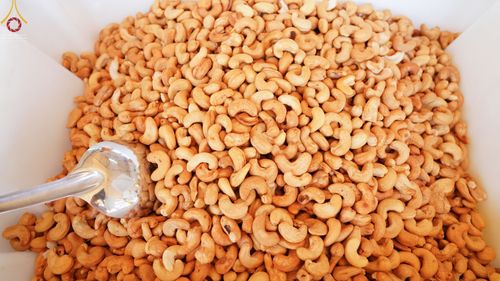 ภาพ No.73012:พิธีถวายภัตตาหารเป็นสังฆทาน แด่คณะพระธรรมยาตราฯ ในโครงการธรรมยาตรากตัญญูบูชา มหาปูชนียาจารย์ พระมงคลเทพมุนี(สด จนฺทสโร) พระผู้ปราบมาร อนุสรณ์สถาน 7 แห่ง ปีที่ 11 วันที่ 20 มกราคม พ.ศ. 2566