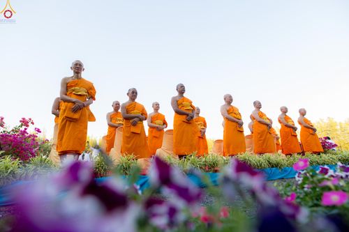 ภาพ No.280954:วันที่ 28 ธันวาคม พ.ศ.2568 กิจกรรมเก็บดอกแพงรวย ณ ทุ่งสวรรค์ตะวันฉาย วัดพระธรรมกาย