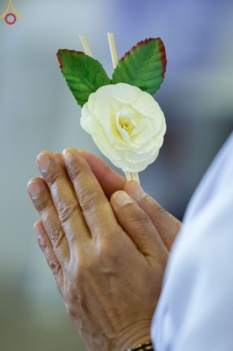 ภาพ No.48950:ประมวลภาพพิธีพระราชทานเพลิงศพ พระสุธรรมญาณวิเทศ (สุธรรม สุธมฺโม)