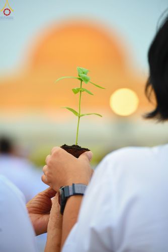 ภาพ No.90114:พิธีปลูกทรัพย์บานชื่น  เนื่องใน 139 ปี วันคล้ายวันเกิดด้วยรูปกายเนื้อ พระมงคลเทพมุนี (สด จนฺทสโร) พระผู้ปราบมาร วันอังคารที่ 10 ตุลาคม พ.ศ. 2566 ณ วัดพระธรรมกาย จ.ปทุมธานี