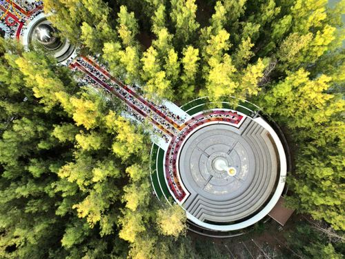 ภาพ No.188773:พิธีต้อนรับพระธรรมยาตรา ในโครงการธรรมยาตรา กตัญญูบูชา มหาปูชนียาจารย์ พระมงคลเทพมุนี(สด จนฺทสโร) พระผู้ปราบมาร อนุสรณ์สถาน 7 แห่ง ปีที่ 13 วันที่ 3 มกราคม พ.ศ. 2568 ณ อนุสรณ์สถานมหาวิหารพระมงคลเทพมุนี (โลตัสแลนด์) อ.สองพี่น้อง จ.สุพรรณบุรี