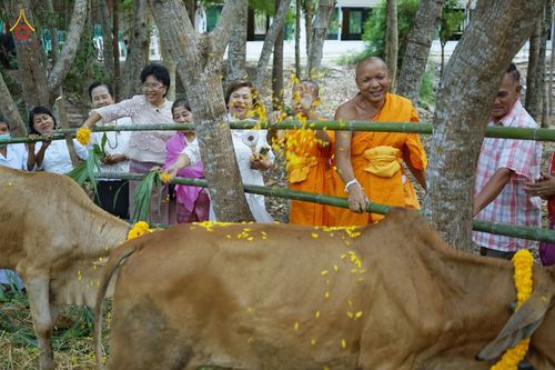 ภาพ No.80937:พิธีตักบาตรพระ ๒๑๖ รูป และ พิธีถวายมหาสังฆทาน ๕๒ วัด ฉลองครบรอบ ๑๖ ปี ธุดงคสถานพรรัตนแพร่ วันอังคารที่ ๙ พฤษภาคม พ.ศ.๒๕๖๖ ณ ธุดงคสถานพรรัตนะ อำเภอวังชิ้น จังหวัดแพร่