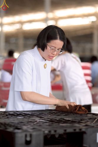 ภาพ No.214347:วันที่ 29 มีนาคม พ.ศ.2568 กิจกรรมใส่ถุงซิปกล่องไทยธรรม เพื่อรักษาความประณีตของกล่องไทยธรรม ในทุกสภาพอากาศ ณ บ้านแก้วเรือนทองคุณยาย วัดพระธรรมกาย